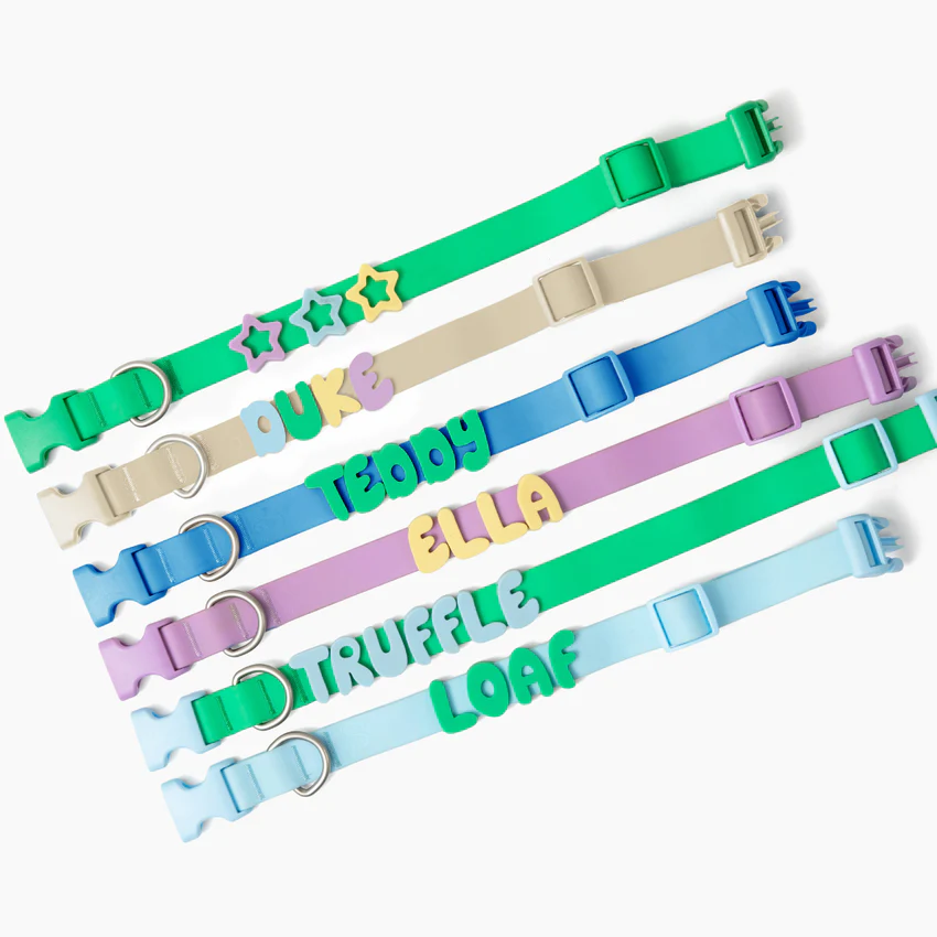 Personalized Waterproof Collar with Charms