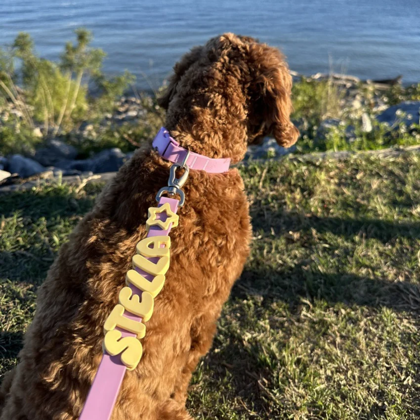 Personalized Waterproof Collar with Charms