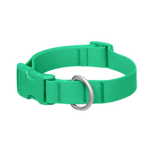 Personalized Waterproof Collar with Charms