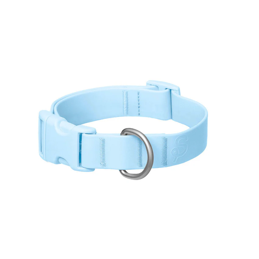 Personalized Waterproof Collar with Charms